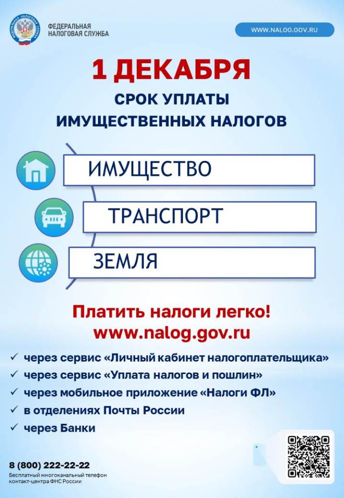 Сервис ФНС России по Новосибирской области 